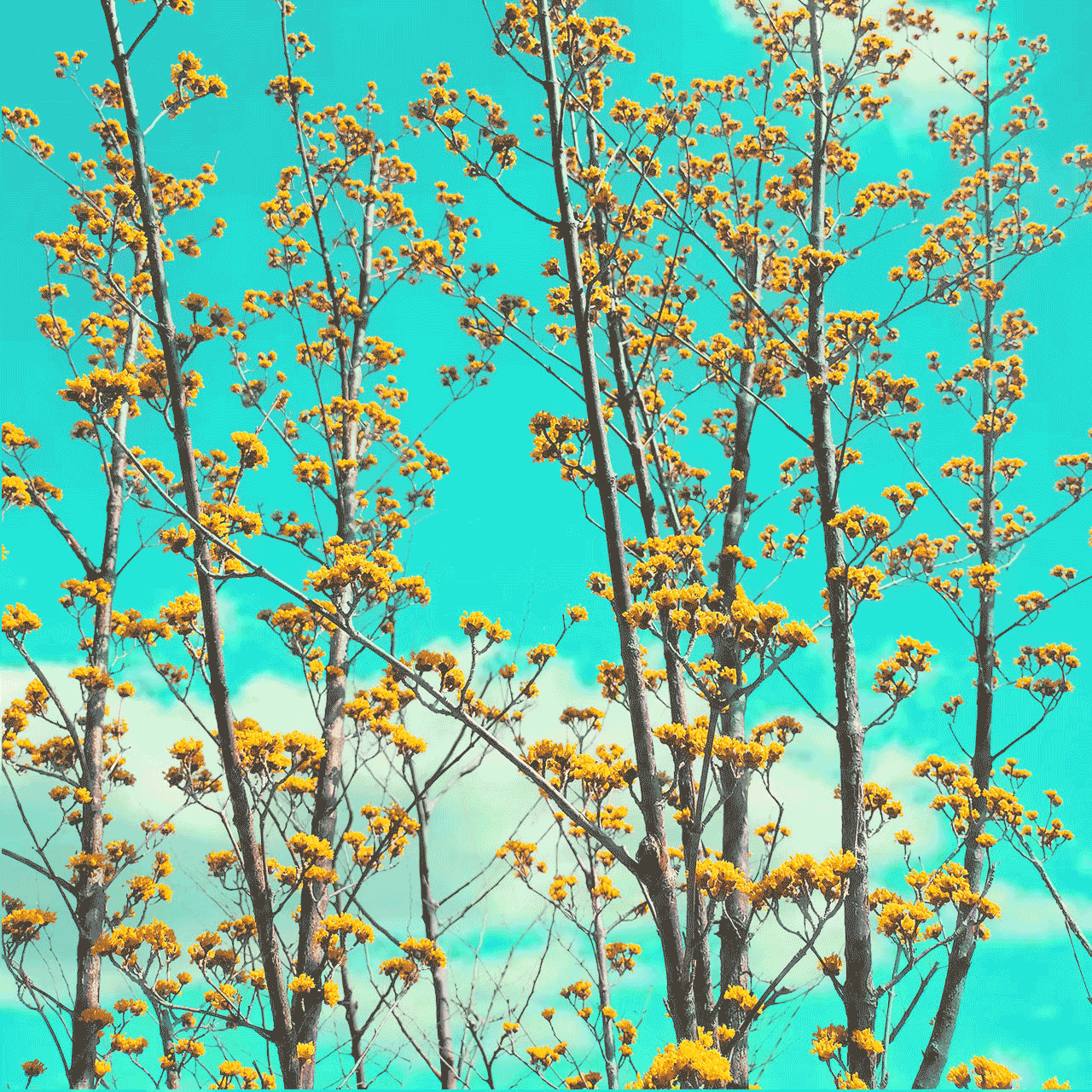 メインイメージ1